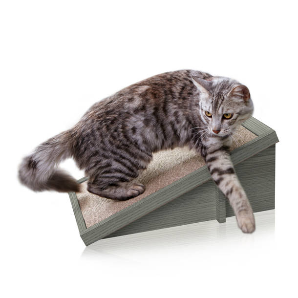 Archie & Oscar™ Kells Scratching Board & Reviews Wayfair